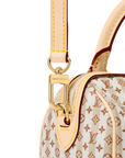 Louis Vuitton Speedy Bandoulière 20