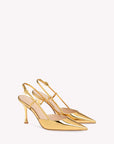 Gianvito Rossi Women's ASCENT Pumps