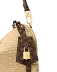Louis Vuitton Express PM