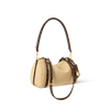 Louis Vuitton Express PM