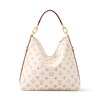 Louis Vuitton Multipass