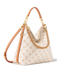 Louis Vuitton Multipass