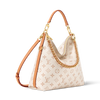 Louis Vuitton Multipass