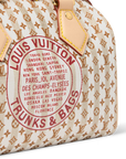Louis Vuitton Speedy Bandoulière 20