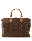 Louis Vuitton Speedy Soft 30 Boho