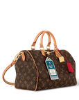 Louis Vuitton Speedy Soft 30 Crafty