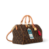 Louis Vuitton Speedy Soft 30 Crafty