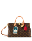Louis Vuitton Speedy Soft 30 Crafty