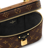 Louis Vuitton Vanity Chain Pouch