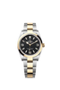 Rolex Explorer 36
