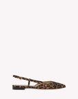 Gianvitto Rossi Women's ASCENT 05 Flats